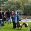 hundefamilien - treffen 09.09.2017   5